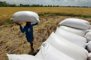Rice tariff consultations conclude; draft amendments due by Nov. 10